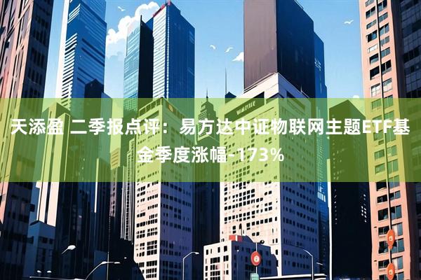 天添盈 二季报点评：易方达中证物联网主题ETF基金季度涨幅-173%